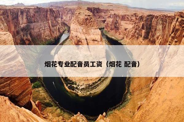 烟花专业配音员工资（烟花 配音）