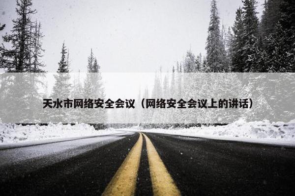 天水市网络安全会议（网络安全会议上的讲话）