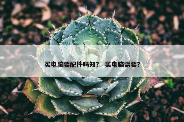 买电脑要配件吗知？ 买电脑需要？