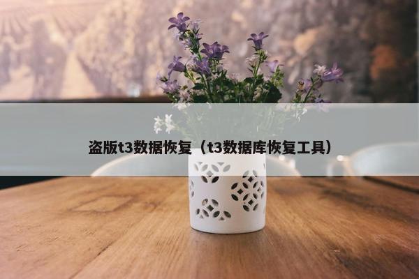 盗版t3数据恢复（t3数据库恢复工具）