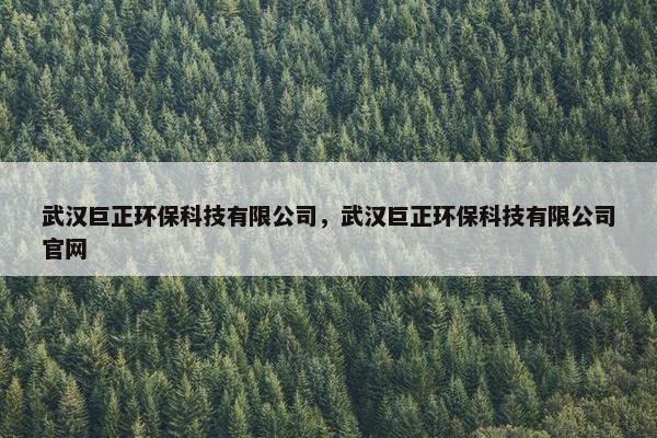 武汉巨正环保科技有限公司，武汉巨正环保科技有限公司官网