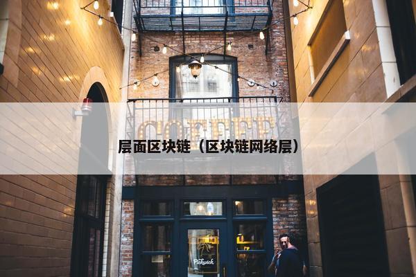 层面区块链（区块链网络层）