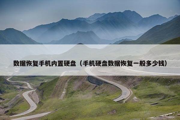 数据恢复手机内置硬盘（手机硬盘数据恢复一般多少钱）