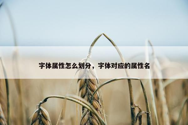 字体属性怎么划分，字体对应的属性名