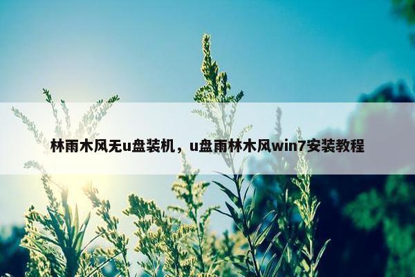 林雨木风无u盘装机，u盘雨林木风win7安装教程