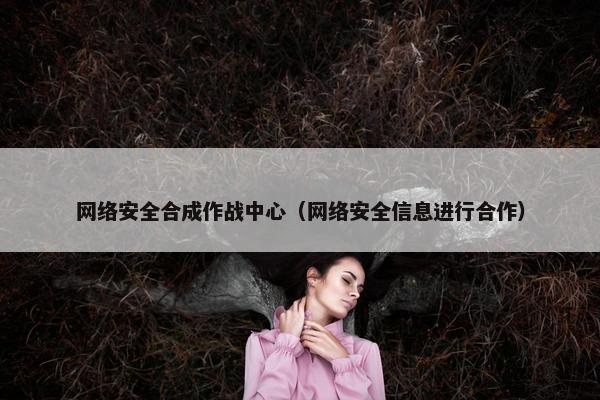 网络安全合成作战中心（网络安全信息进行合作）