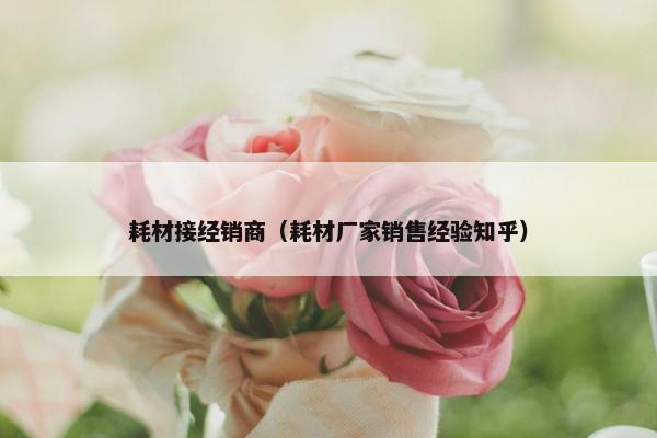 耗材接经销商（耗材厂家销售经验知乎）