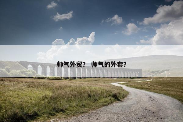 帅气外贸？ 帅气的外套？