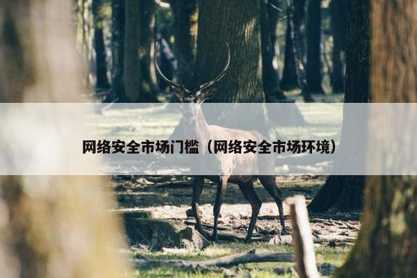 网络安全市场门槛（网络安全市场环境）