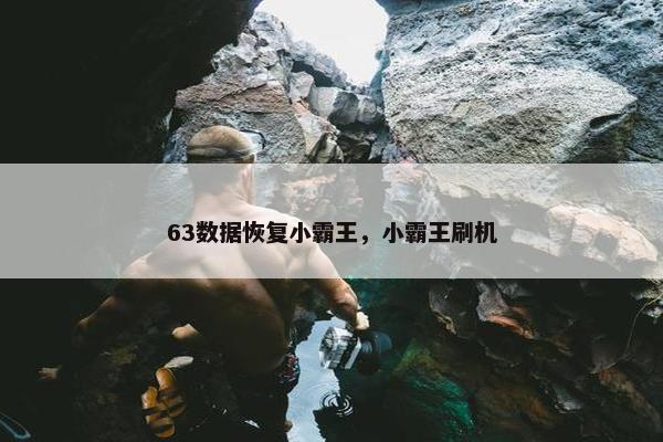 63数据恢复小霸王，小霸王刷机