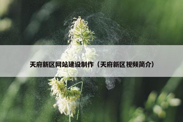天府新区网站建设制作（天府新区视频简介）