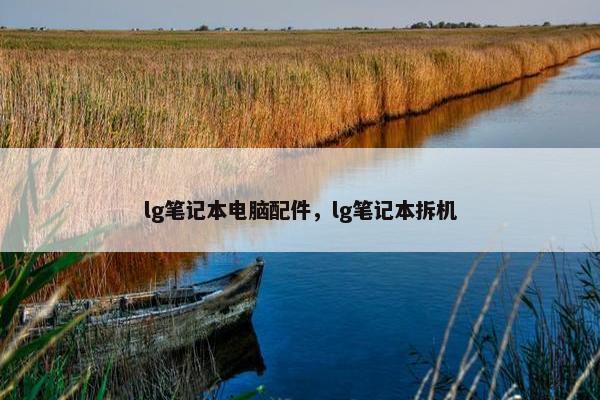 lg笔记本电脑配件，lg笔记本拆机