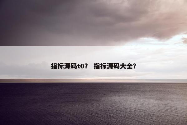 指标源码t0？ 指标源码大全？
