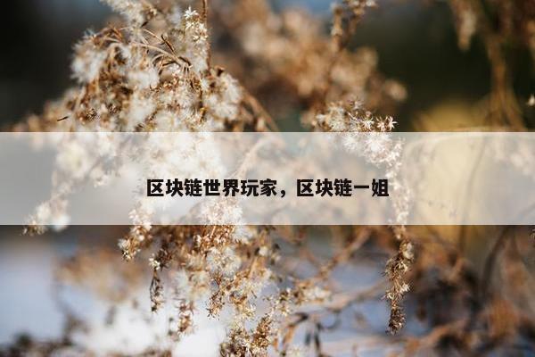 区块链世界玩家，区块链一姐