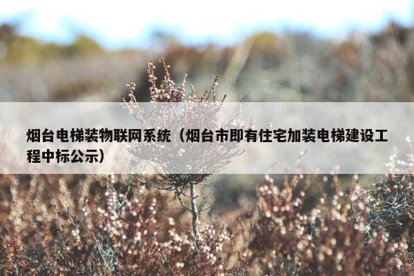 烟台电梯装物联网系统（烟台市即有住宅加装电梯建设工程中标公示）
