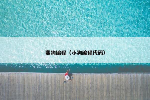 赛狗编程（小狗编程代码）