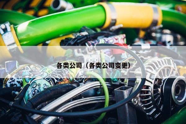 各类公司（各类公司变更）
