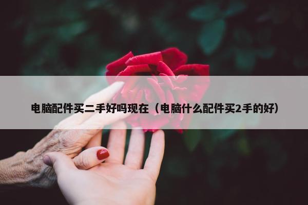 电脑配件买二手好吗现在（电脑什么配件买2手的好）