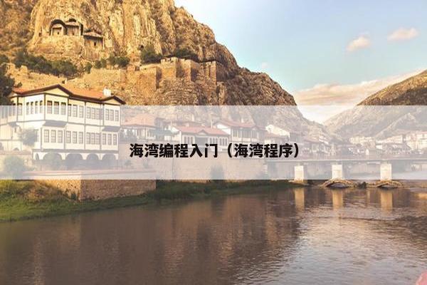 海湾编程入门（海湾程序）