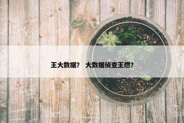 王大数据？ 大数据侦查王燃？