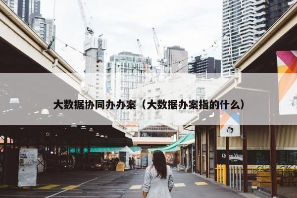 大数据协同办办案（大数据办案指的什么）
