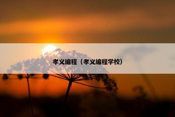 孝义编程（孝义编程学校）