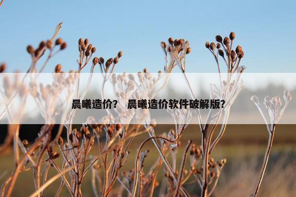 晨曦造价？ 晨曦造价软件破解版？