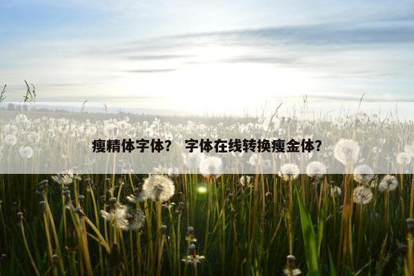 瘦精体字体？ 字体在线转换瘦金体？