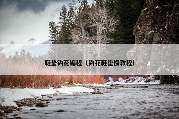 鞋垫钩花编程（钩花鞋垫慢教程）