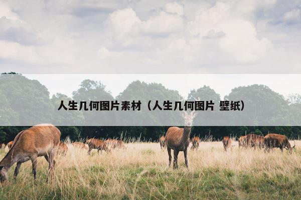人生几何图片素材（人生几何图片 壁纸）