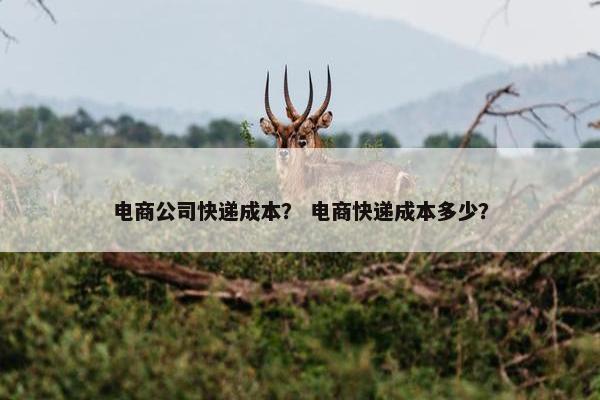 电商公司快递成本？ 电商快递成本多少？