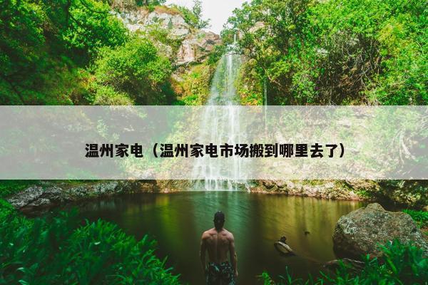 温州家电（温州家电市场搬到哪里去了）
