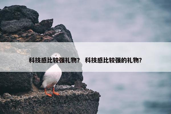 科技感比较强礼物？ 科技感比较强的礼物？