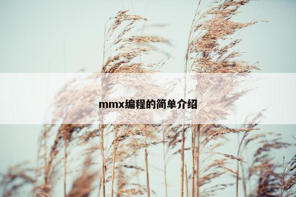 mmx编程的简单介绍