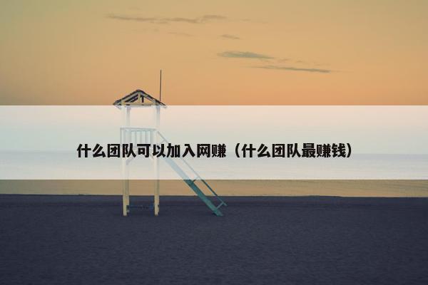 什么团队可以加入网赚（什么团队最赚钱）