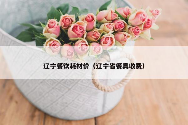 辽宁餐饮耗材价（辽宁省餐具收费）