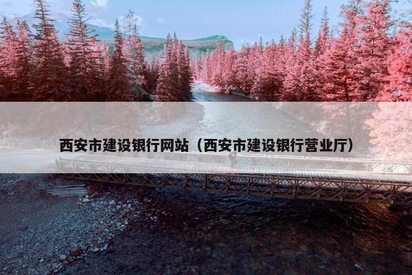 西安市建设银行网站（西安市建设银行营业厅）