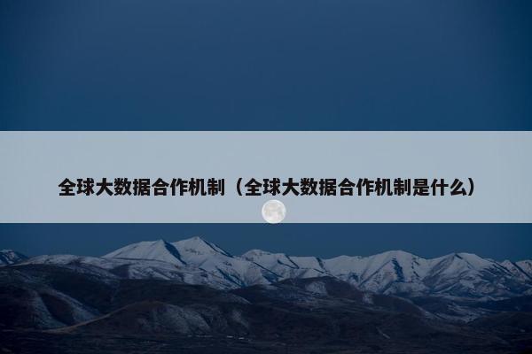 全球大数据合作机制（全球大数据合作机制是什么）