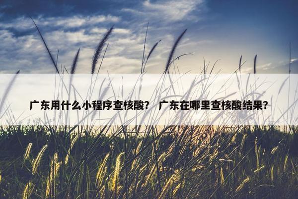 广东用什么小程序查核酸？ 广东在哪里查核酸结果？