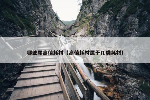 哪些属高值耗材（高值耗材属于几类耗材）