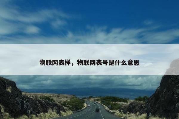 物联网表样，物联网表号是什么意思