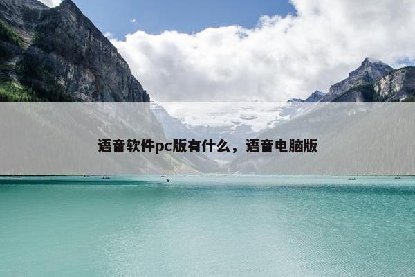 语音软件pc版有什么，语音电脑版