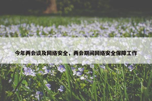 今年两会谈及网络安全，两会期间网络安全保障工作