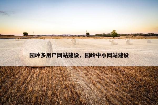 园岭多用户网站建设，园岭中小网站建设