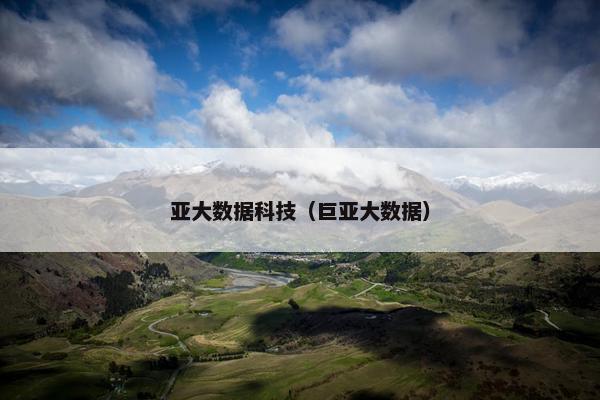 亚大数据科技（巨亚大数据）