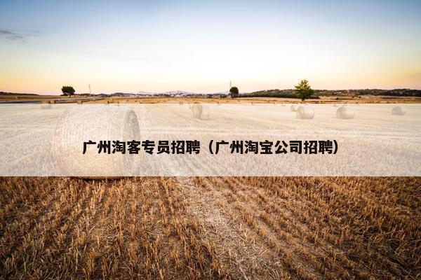 广州淘客专员招聘（广州淘宝公司招聘）