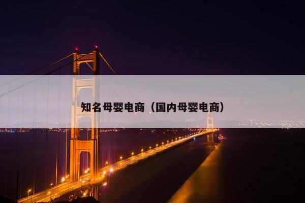 知名母婴电商（国内母婴电商）