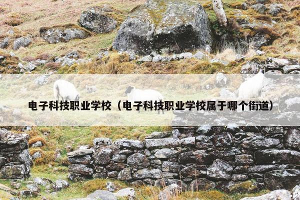 电子科技职业学校（电子科技职业学校属于哪个街道）