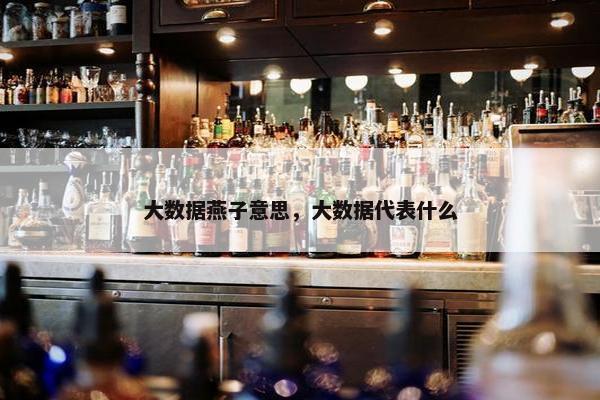 大数据燕子意思，大数据代表什么