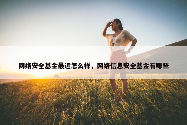 网络安全基金最近怎么样，网络信息安全基金有哪些